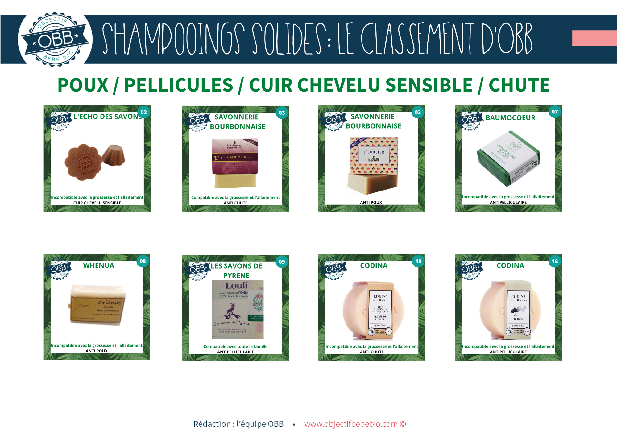 Shampooings-solides-_-le-classement-dobb-9