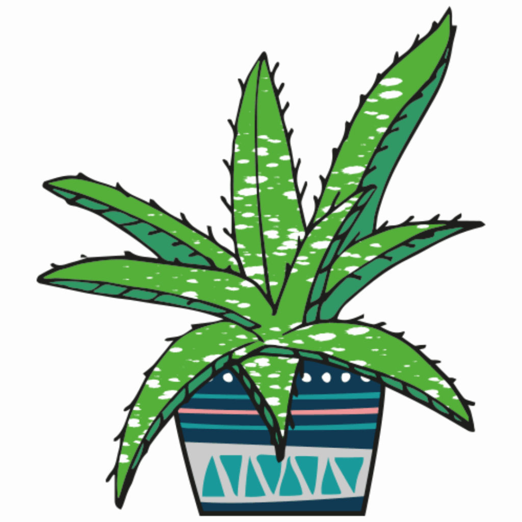 L'aloe vera est un ingrédient courant qu'on retrouve dans la meilleure crème hydratante bio